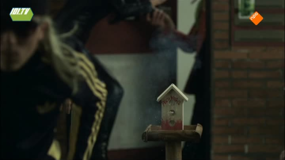 Het Beste van 101TV