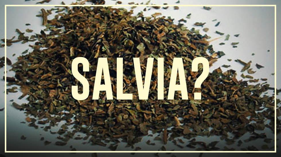 Drugslab AFL. 42A | Salvia - Do's en don'ts