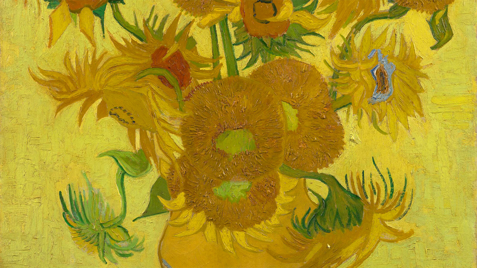 Beste Schooltv: Dit ben ik: Vincent van Gogh - De zonnebloemen van NT-03