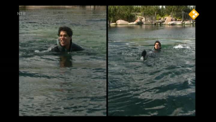 Schooltv: Het Klokhuis - Walrus