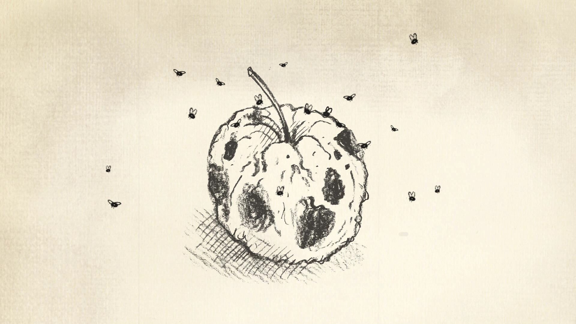 Schooltv Clipphanger Waar komen fruitvliegjes vandaan?