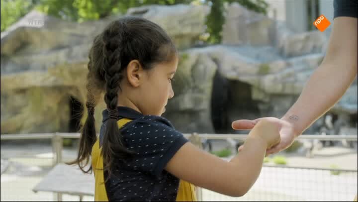schooltv: aap poot pies - territorium