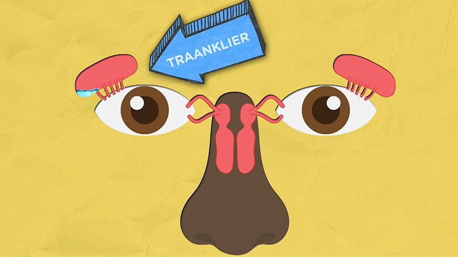 Schooltv ReChill Als je verdrietig bent