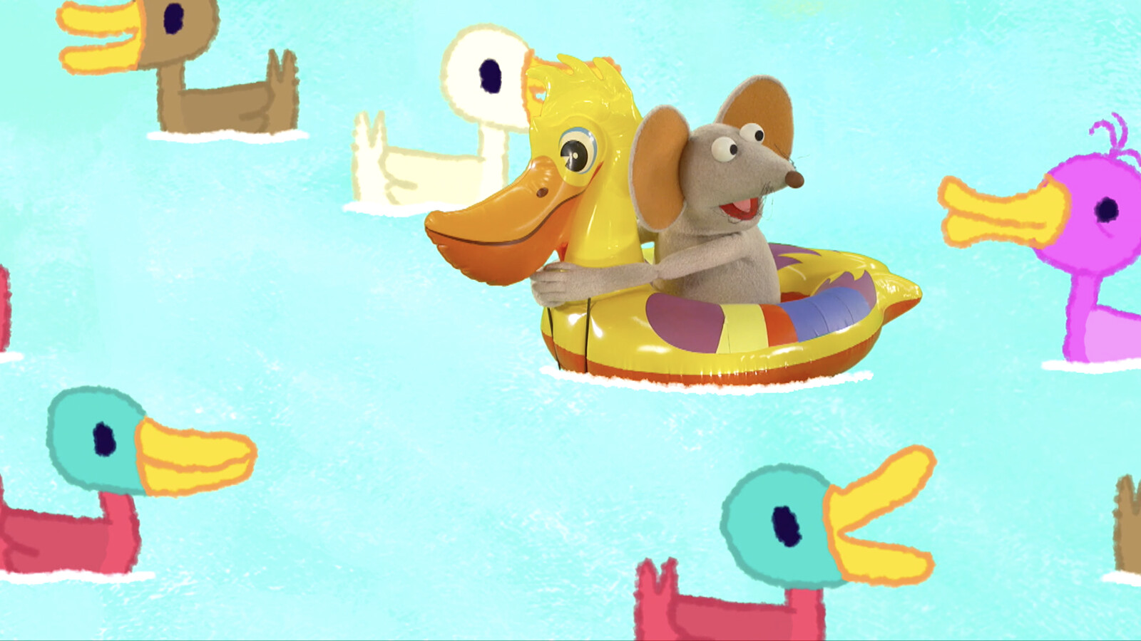 Schooltv Alle eendjes zwemmen in het water Liedje uit Sesamstraat Schooltv Alle eendjes zwemmen in het water Liedje uit Sesamstraat