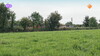 Previous