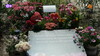 Previous