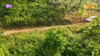 Previous