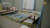 Previous