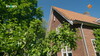 Previous