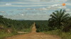Previous