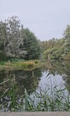 Previous