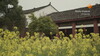 Previous
