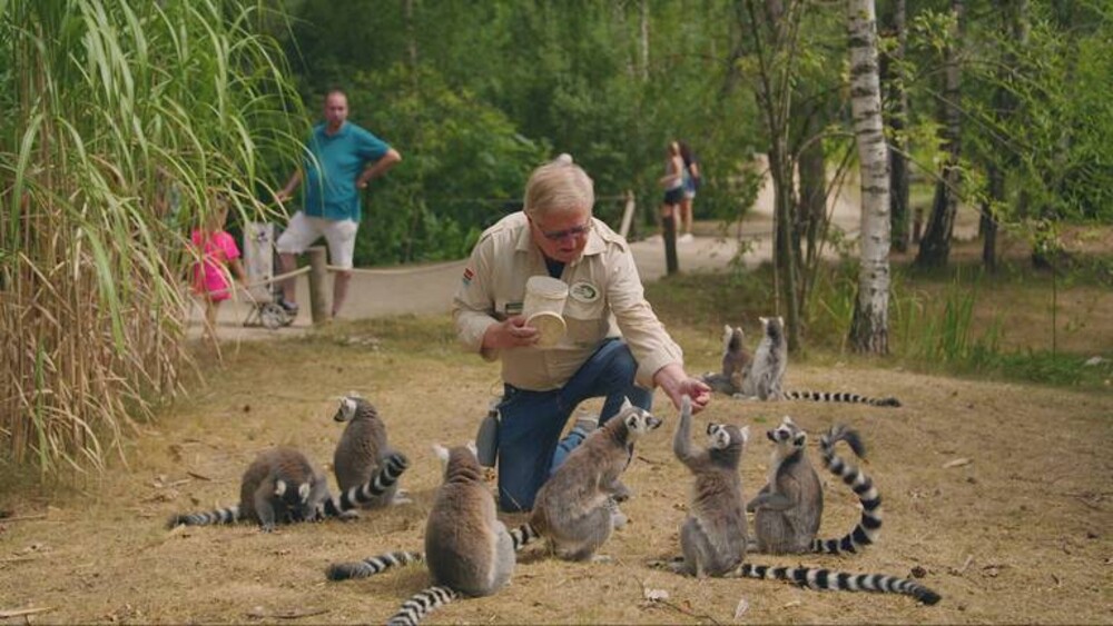 Op Safari