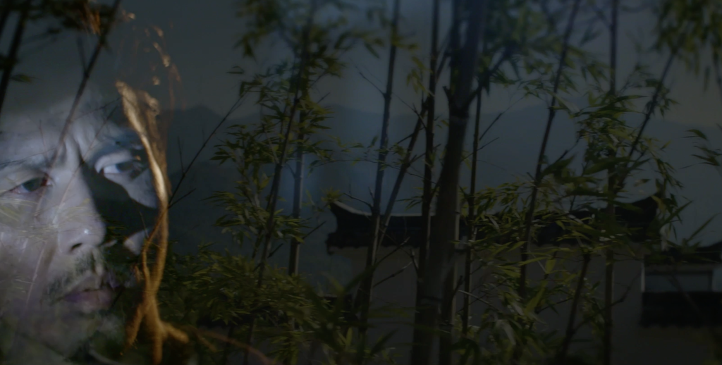 Chu Teh-Chun - Schilder van kleur en licht