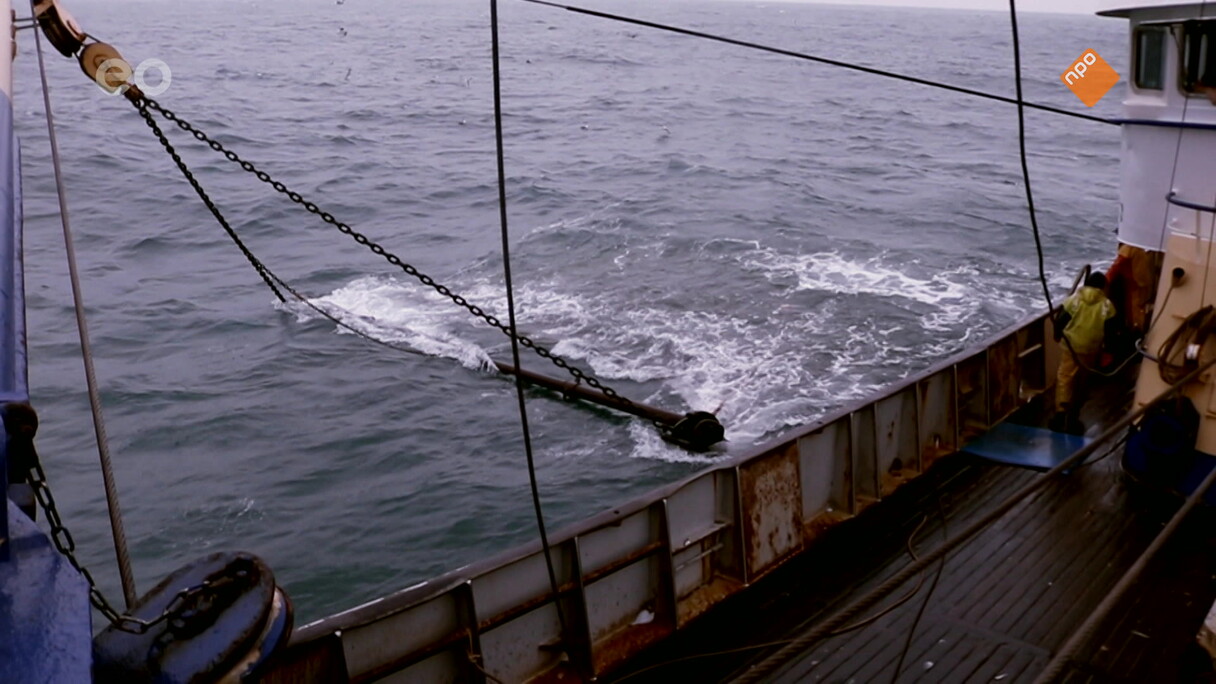 Urker vissersvloot gaat kopje onder