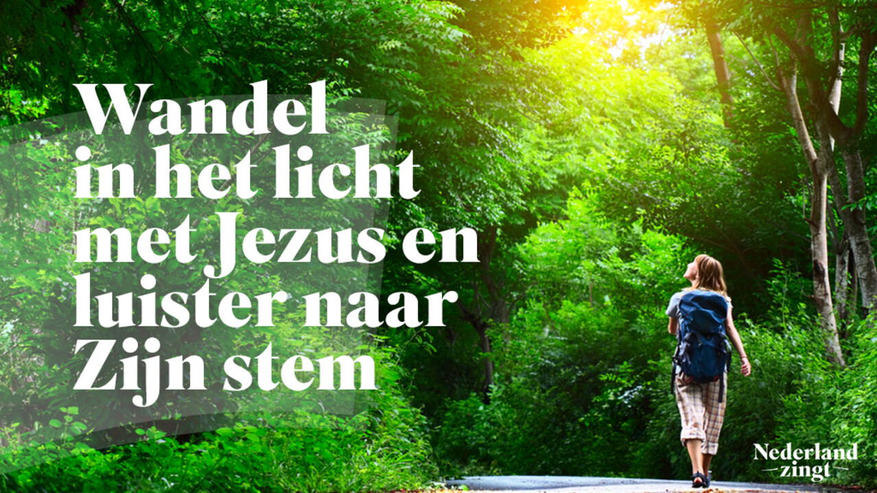 6 liederen over 