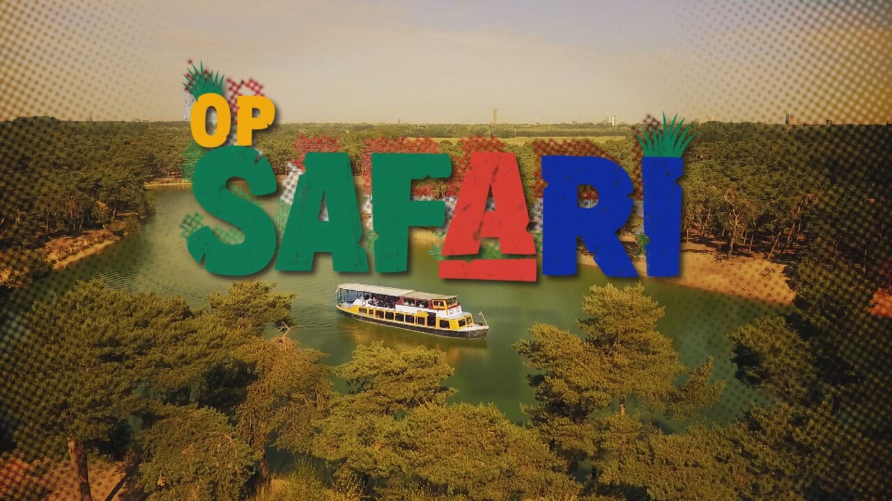 Op Safari - Op Safari