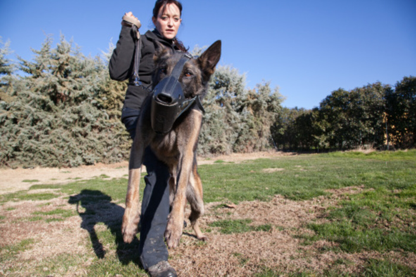 Spaanse remedie tegen agressieve ex