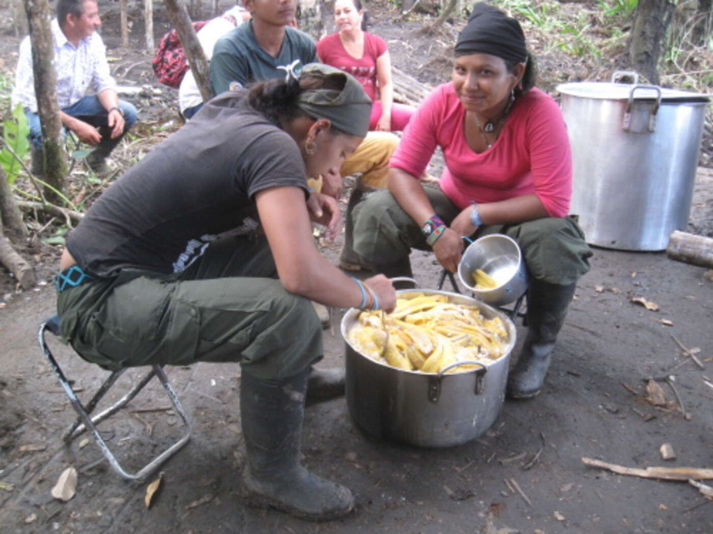 FARC: van guerrillabeweging tot politieke partij