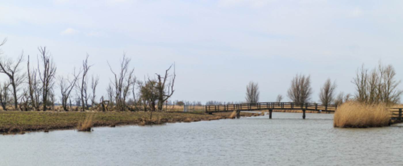 40 jaar Oostvaardersplassen