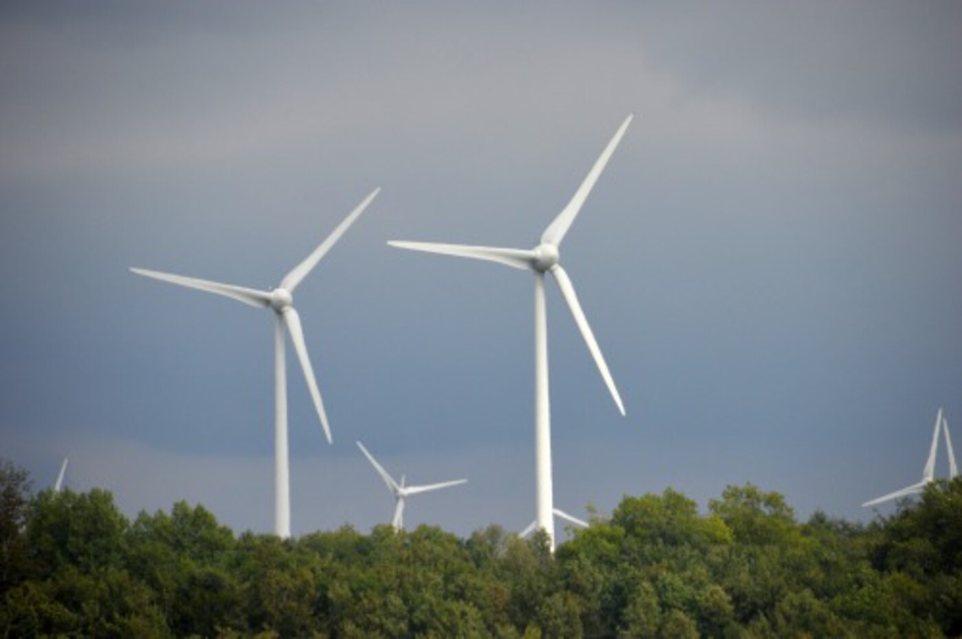De winst en verliesrekening van windenergie
