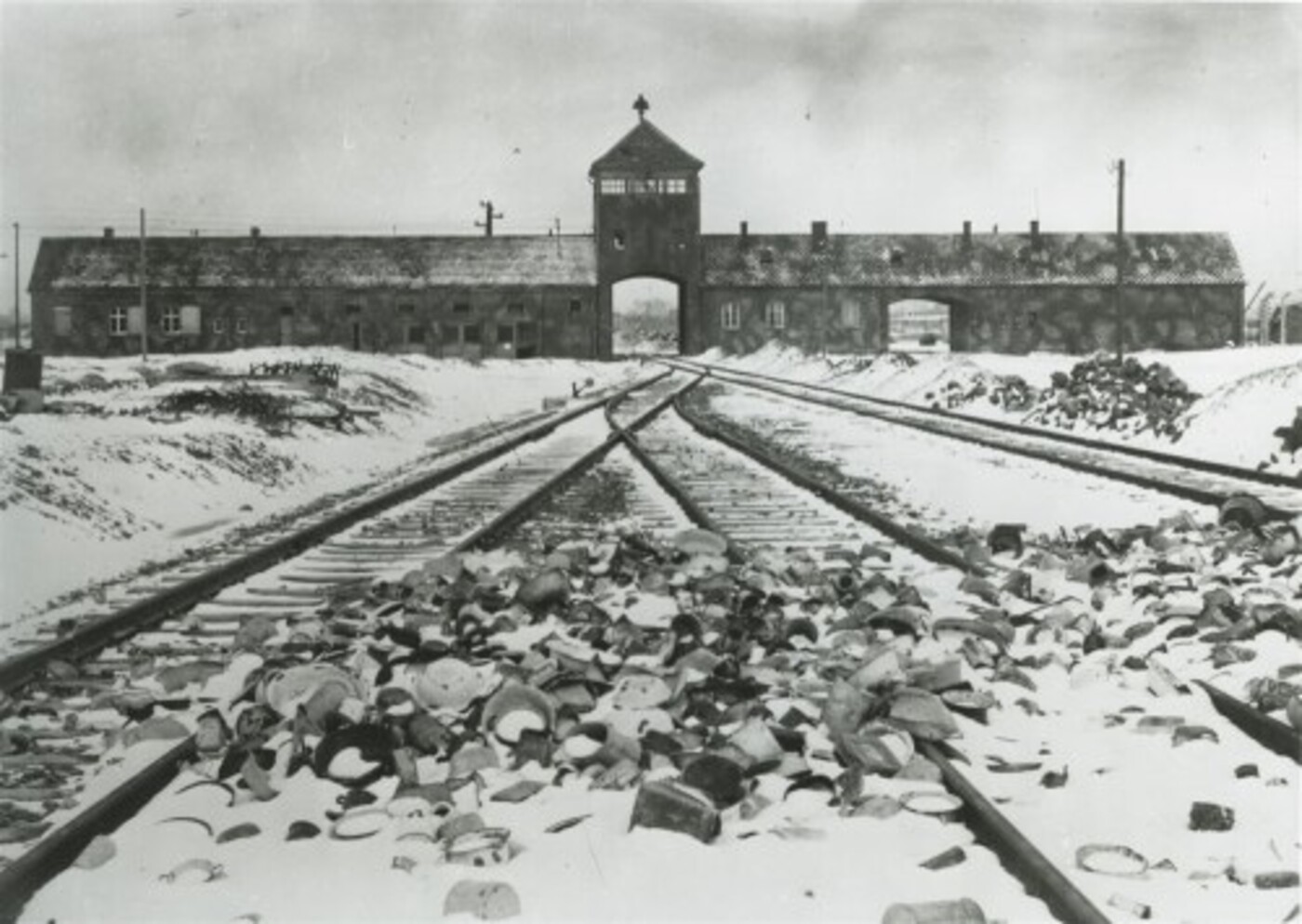 #271 - Arnon Grunberg over zijn boek 'Bij ons in Auschwitz'