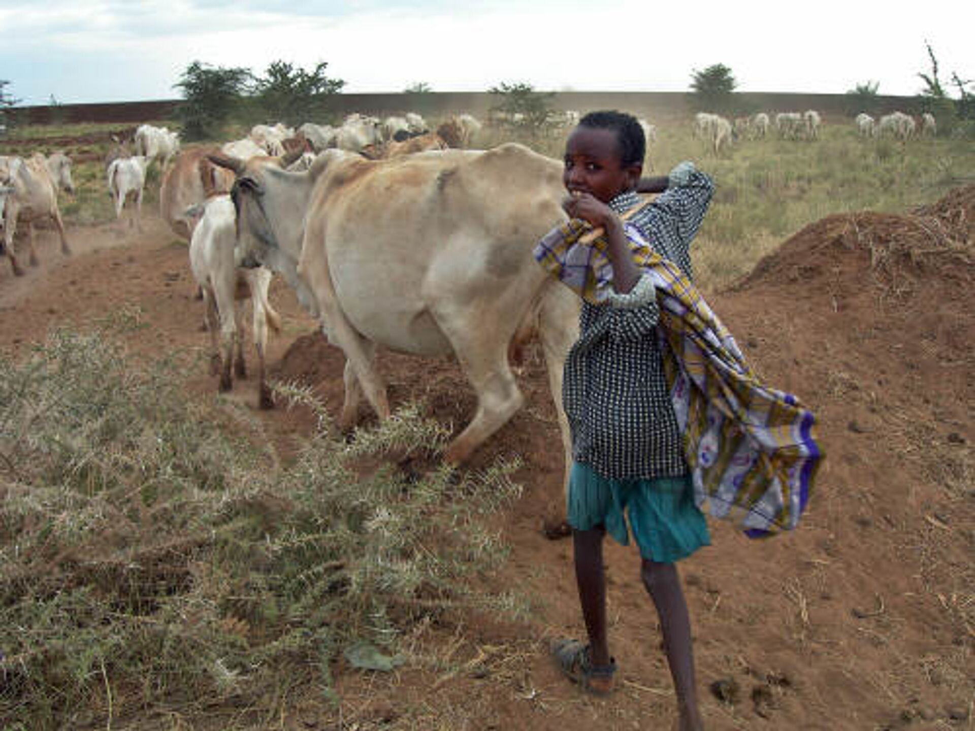Ethiopië: vrede in Ogaden