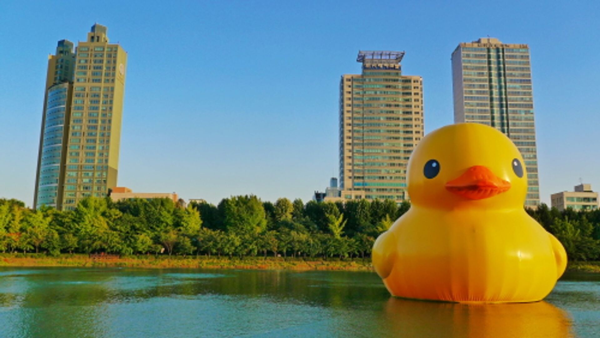 Sounds of Seoul: Anger management