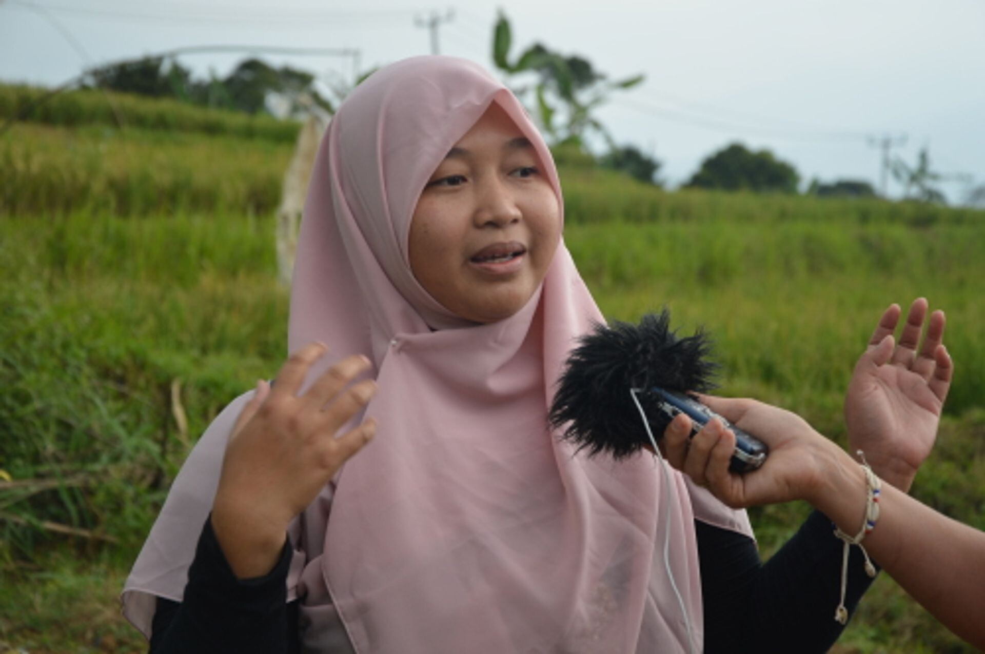 De ‘Groene Meisjes’ van Jakarta