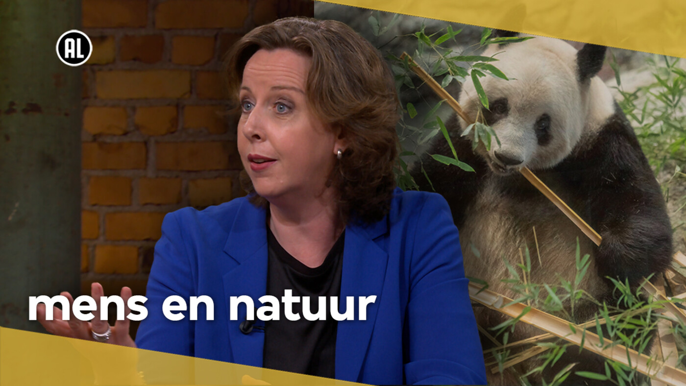 Hoe de mens de connectie met de natuur verloren is