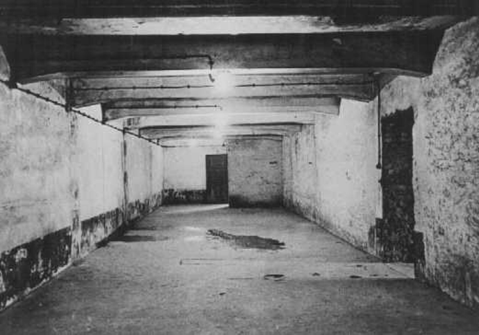#1418 - Sonderkommando: ooggetuigenverslag uit de gaskamers van Auschwitz