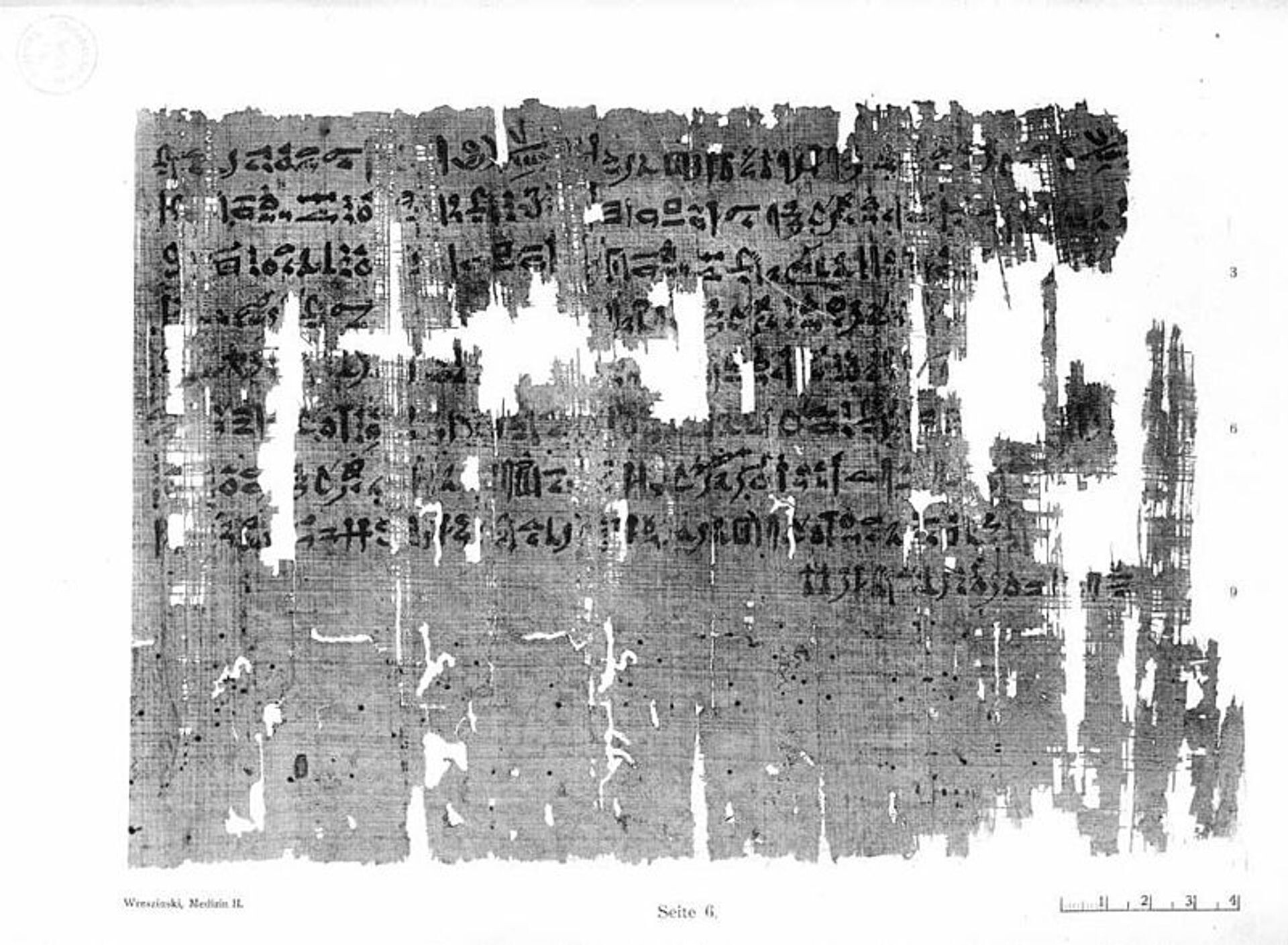 #1564 - De papyrusrollen van Herculaneum