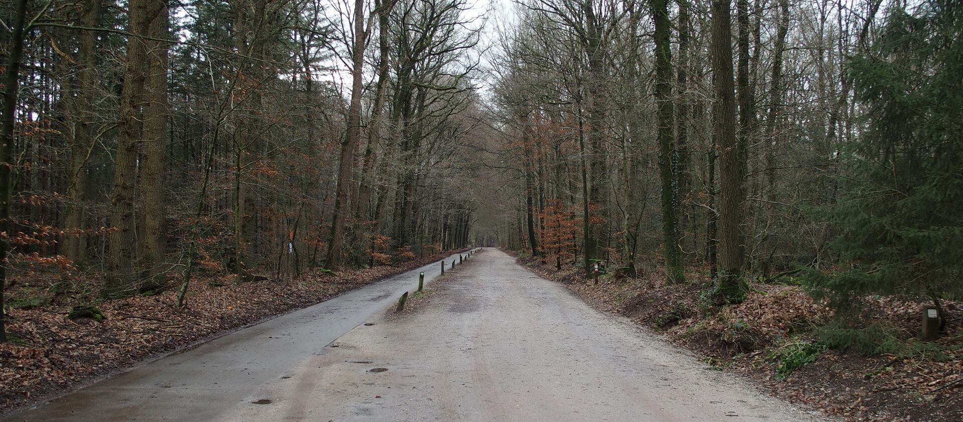 De Harderwijkerkarweg