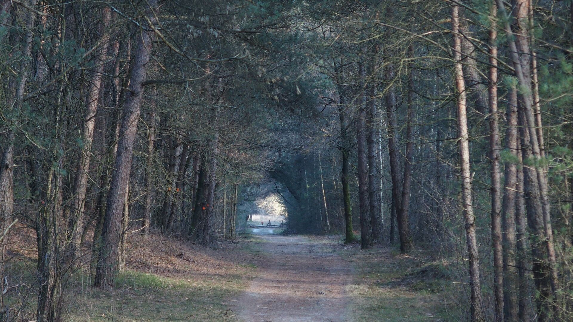 De weg naar het Watergraafsmeertje