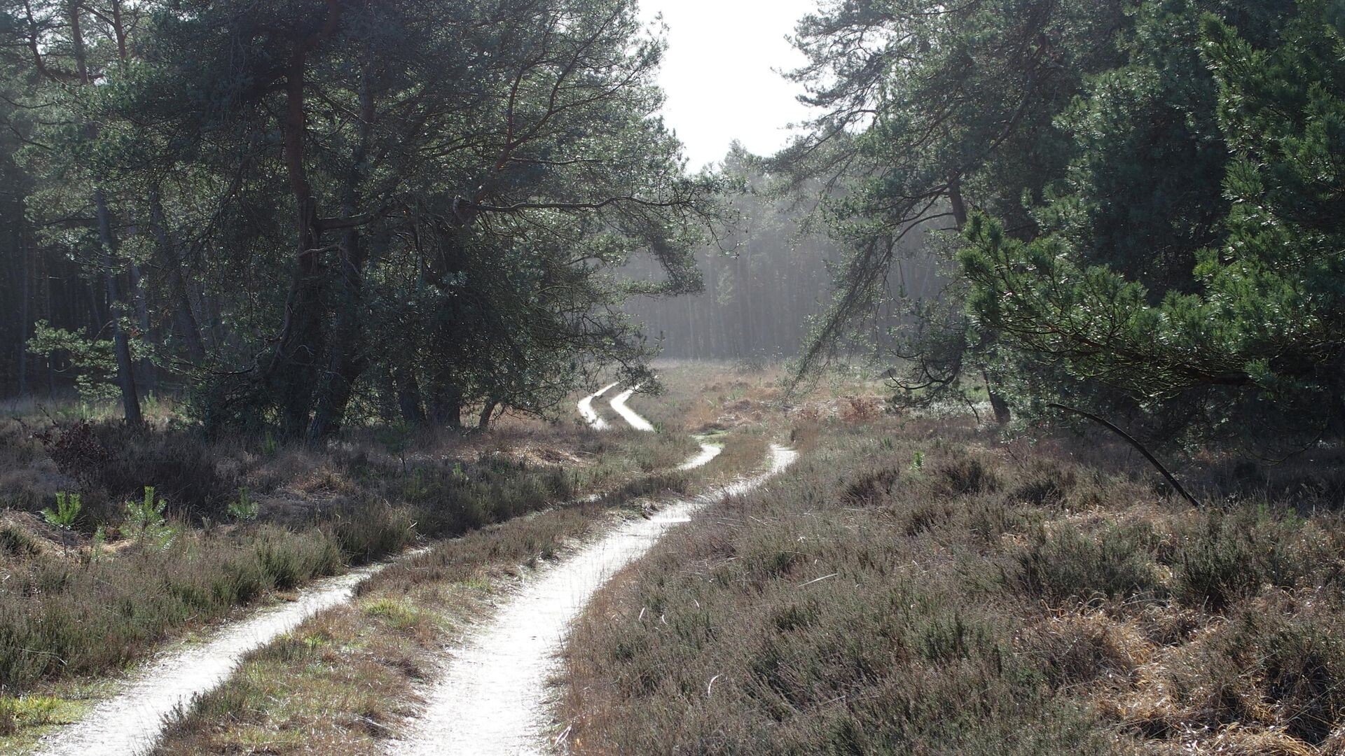 De weg naar de Broodberg