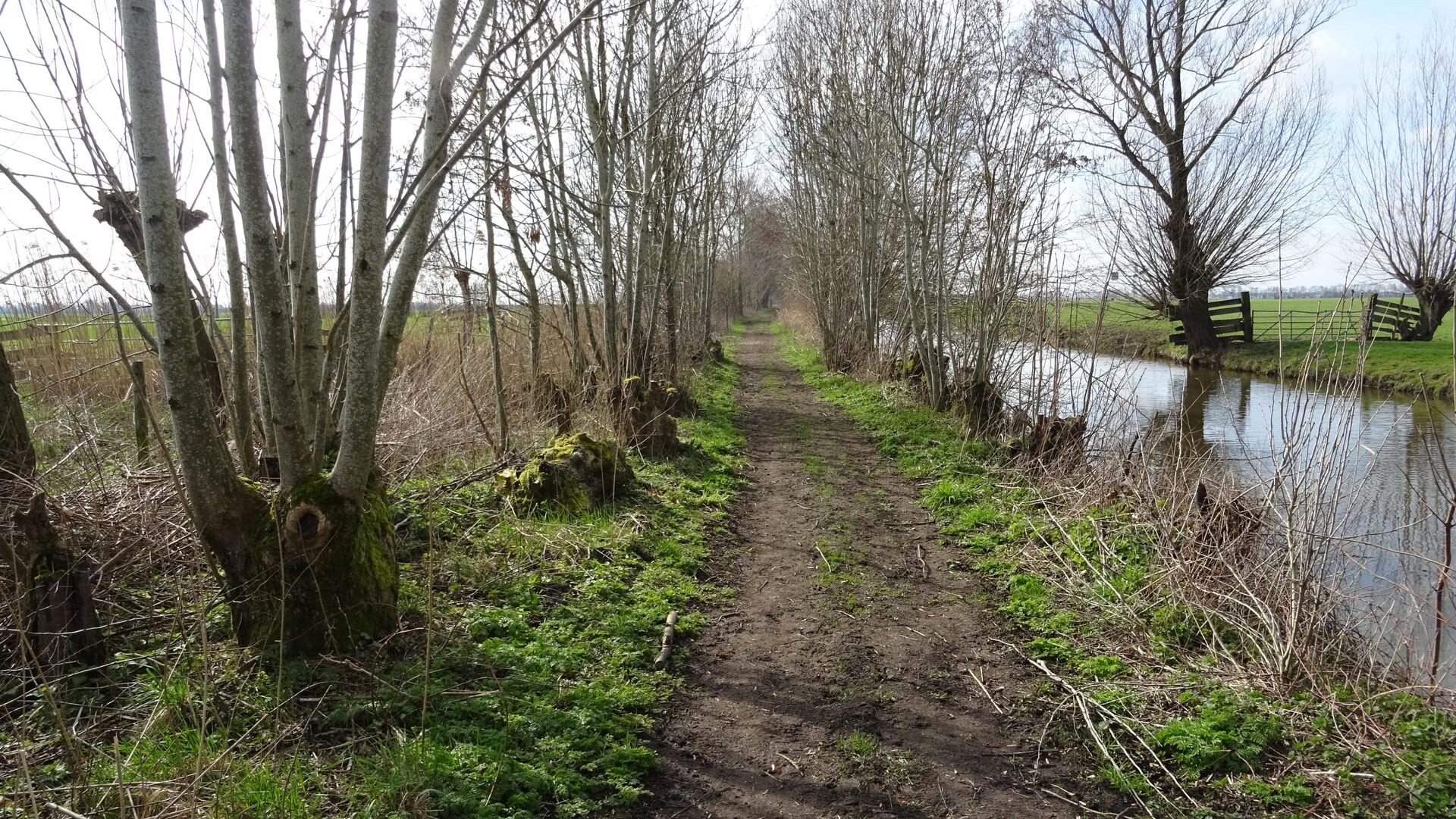 De weg naar Benschop