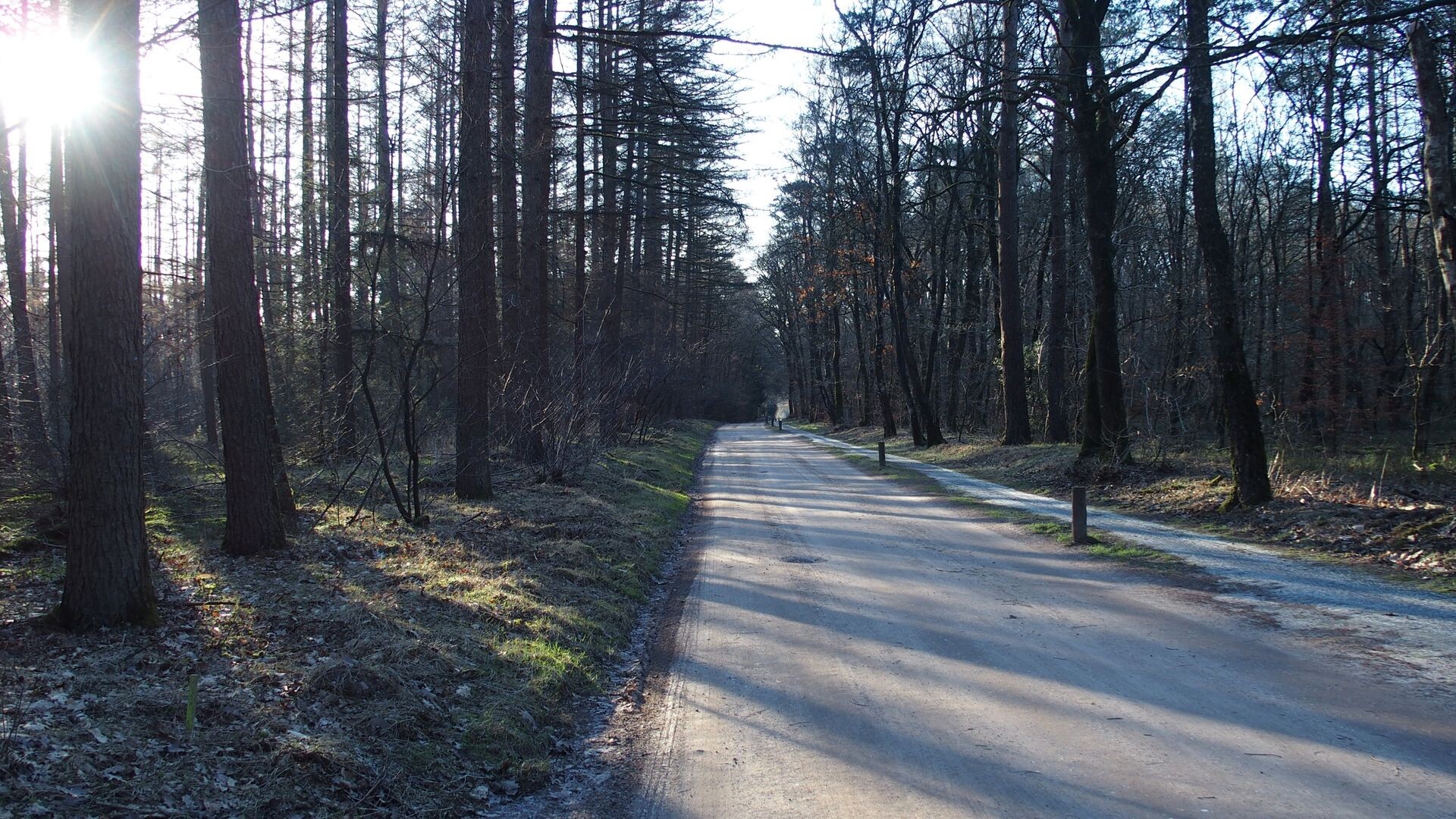 De weg naar Boeschoten