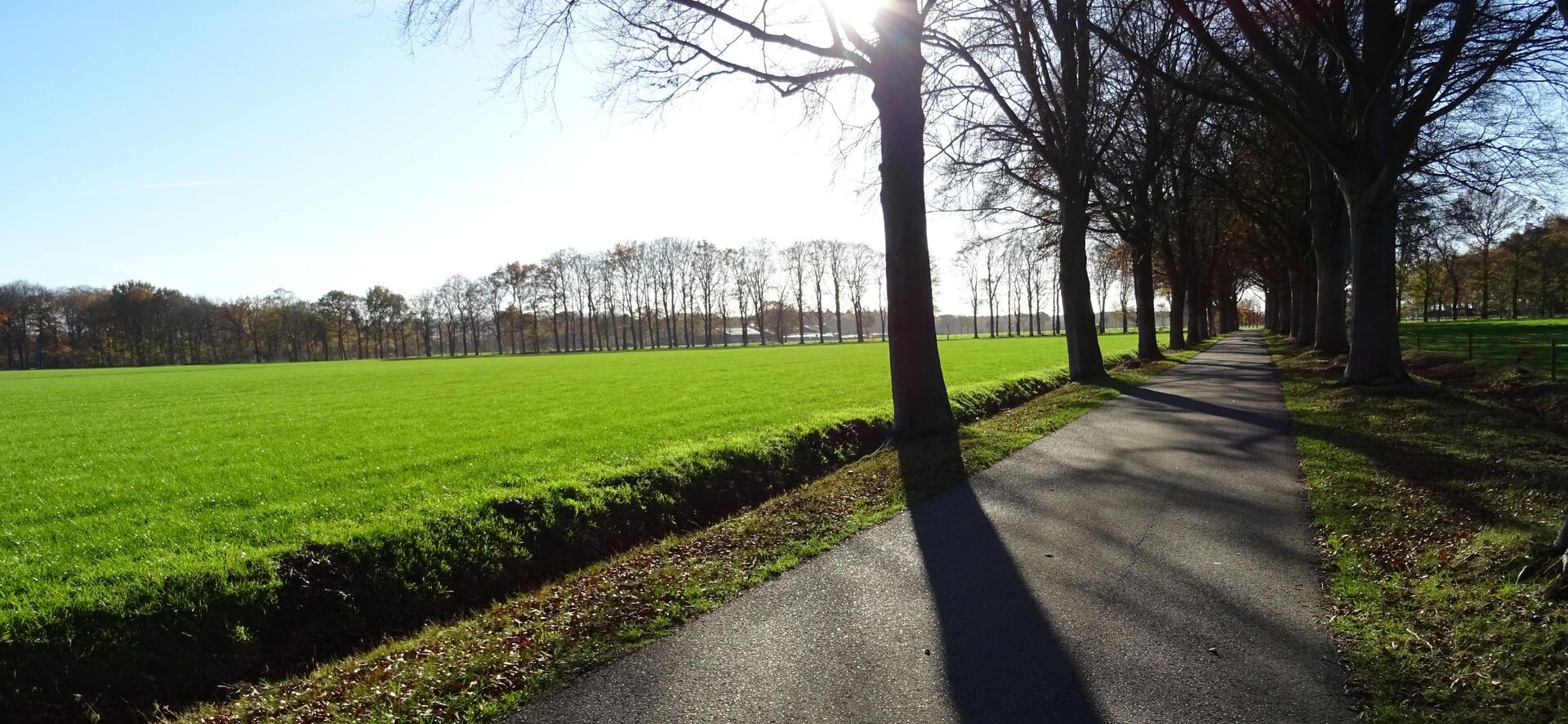 De weg naar Sandenburg