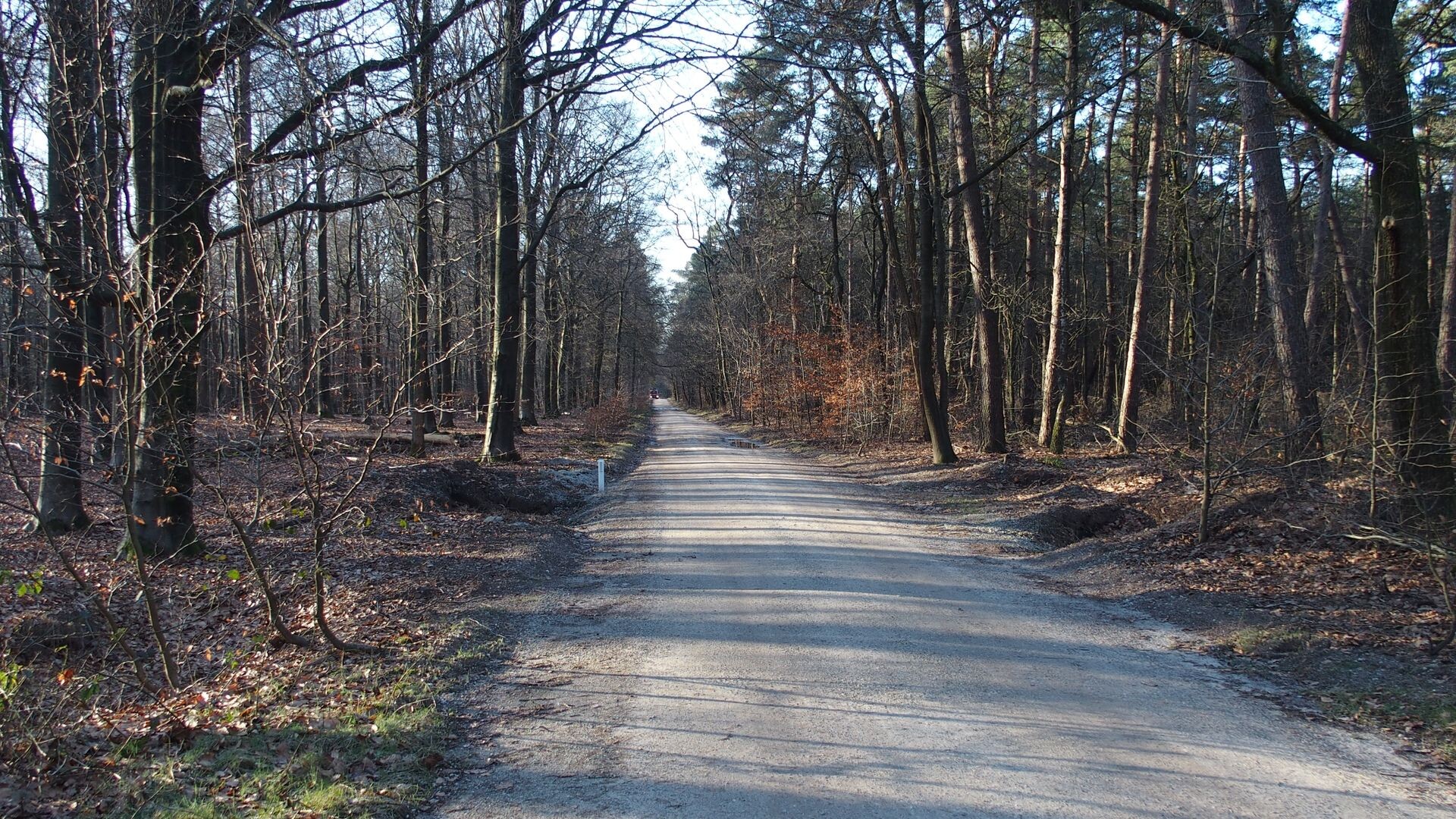 De weg naar Nijkerk