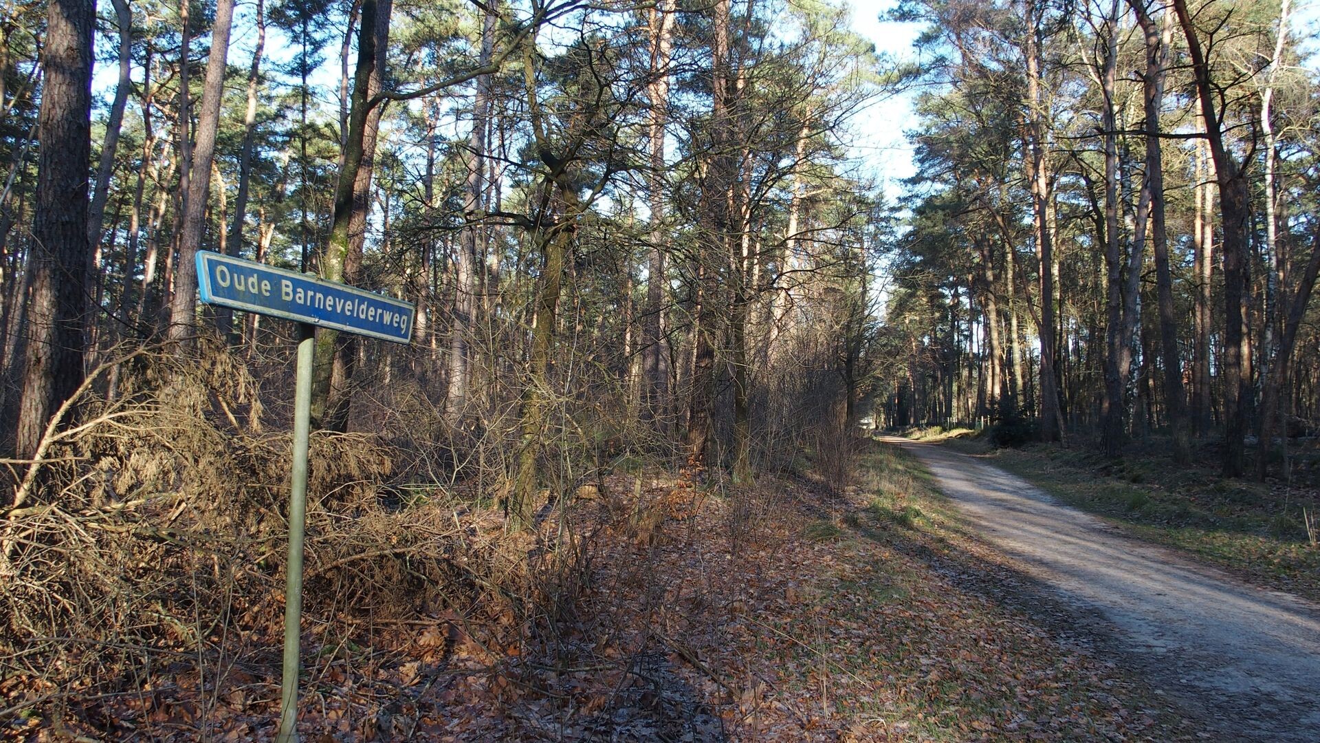 De weg naar Barneveld