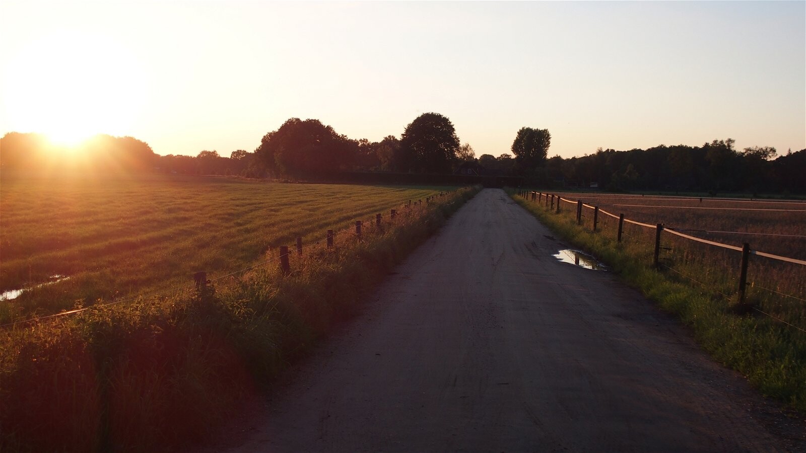 De weg naar het westen