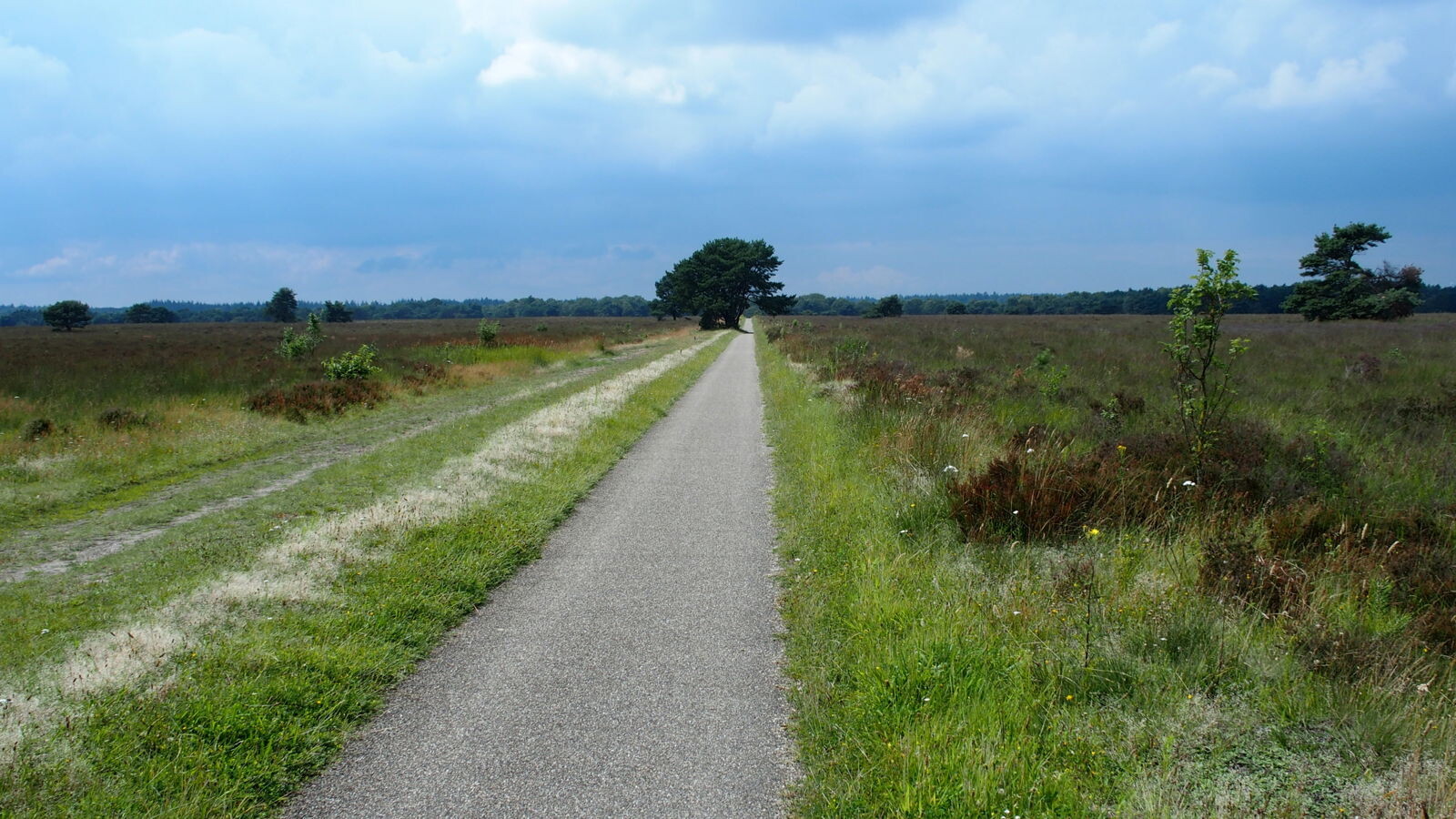 De weg naar Houtdorp