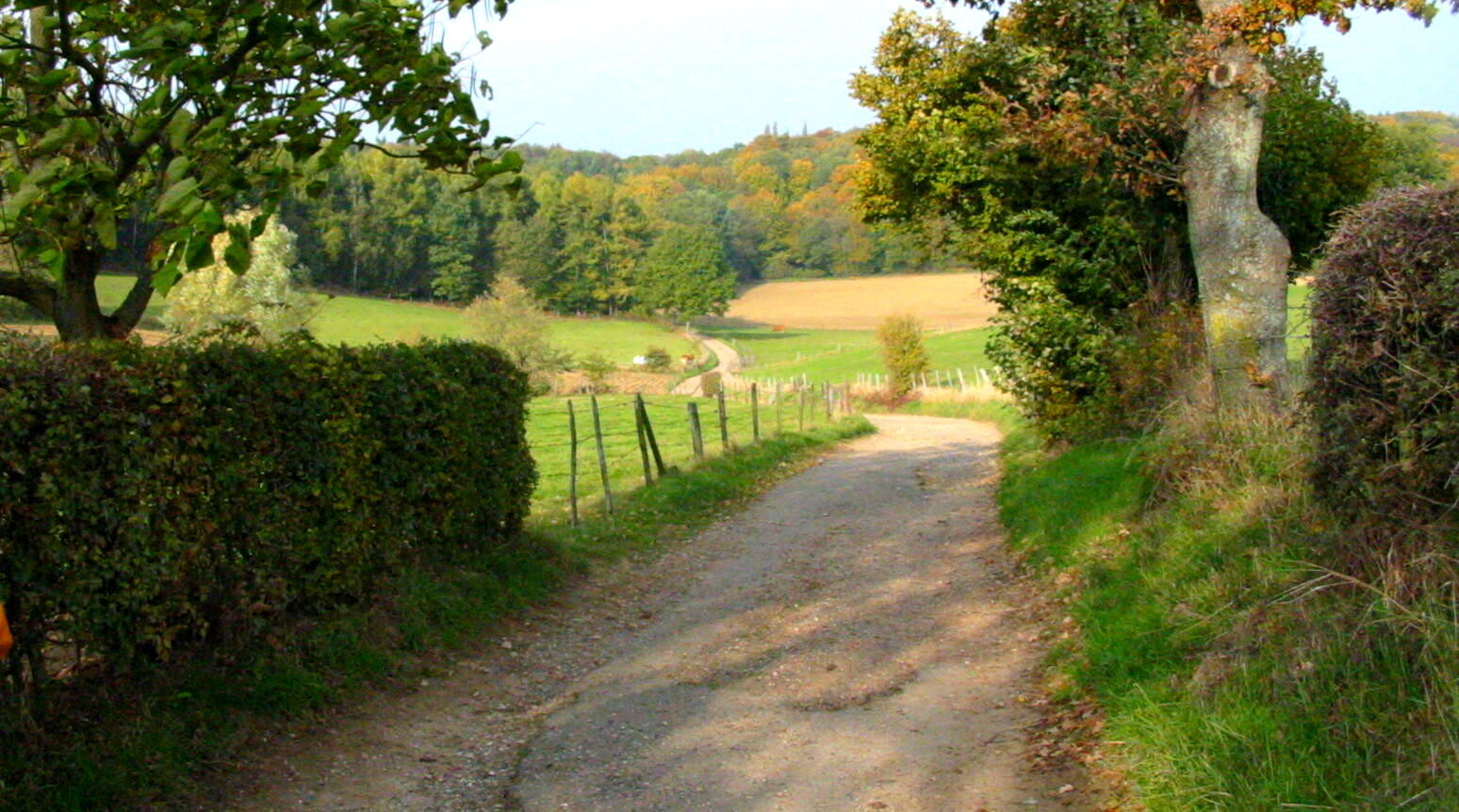 De weg naar de grens