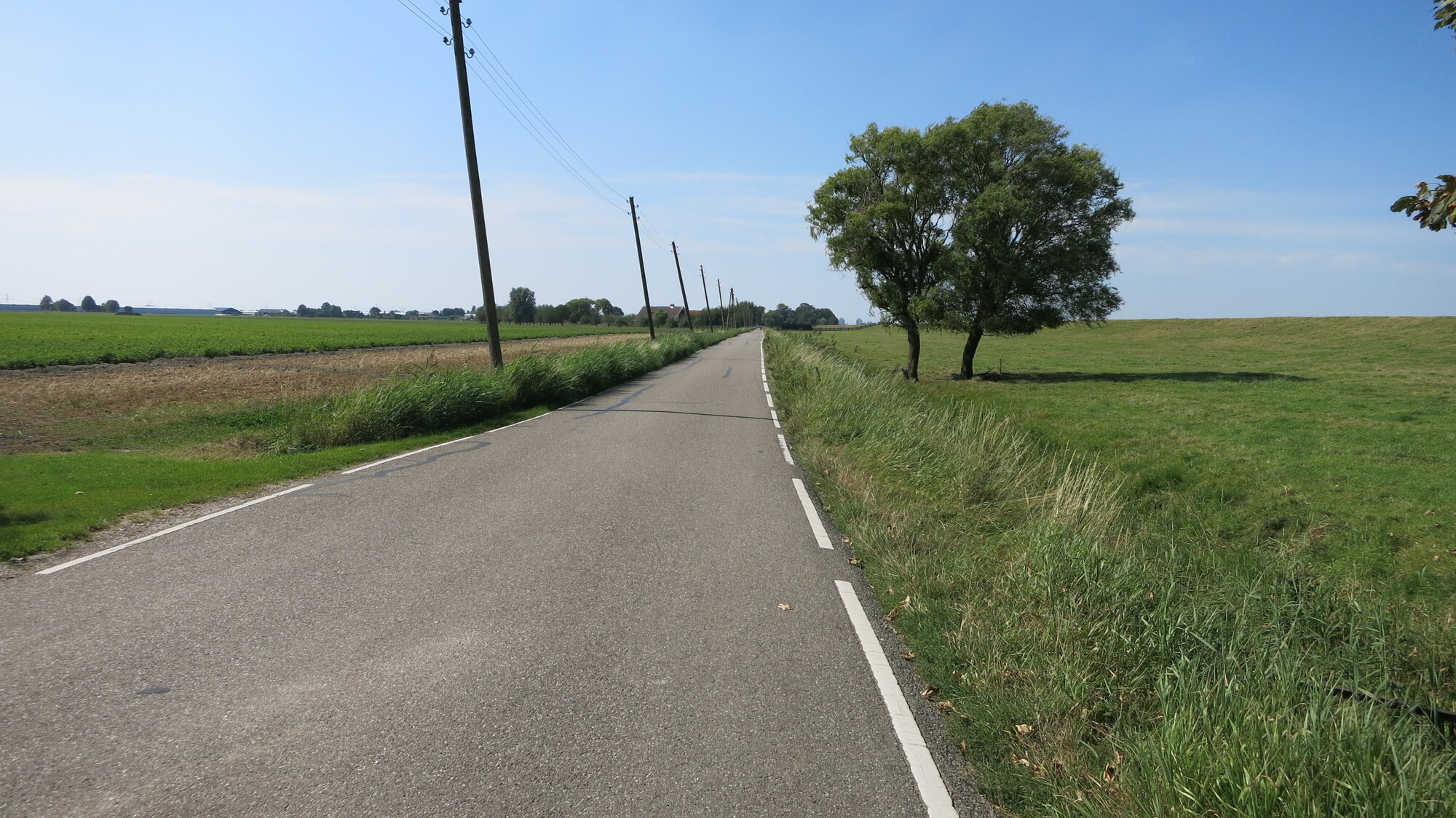 De (Onder)weg naar Moerkapelle