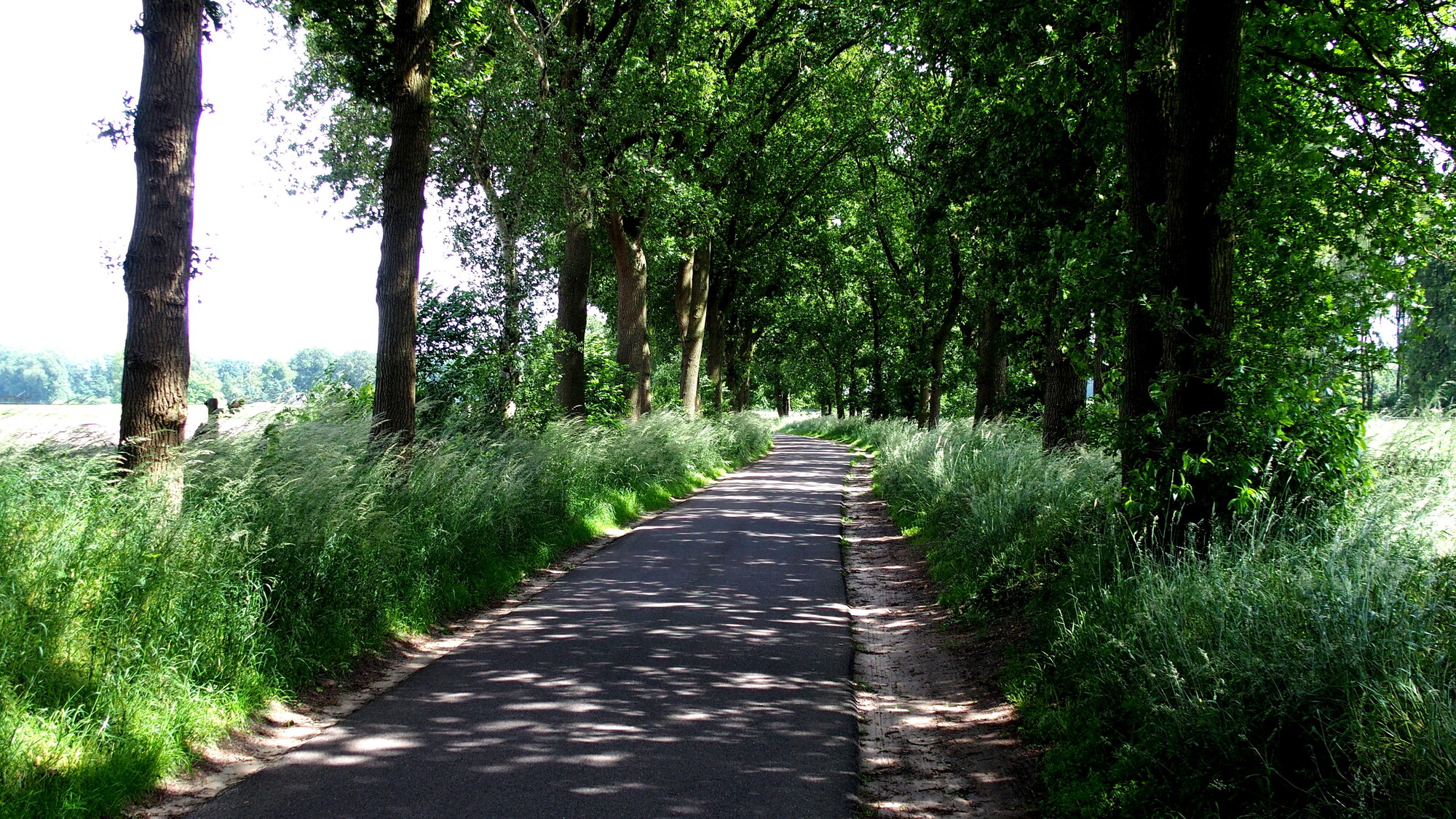 De weg naar Ouwendorp