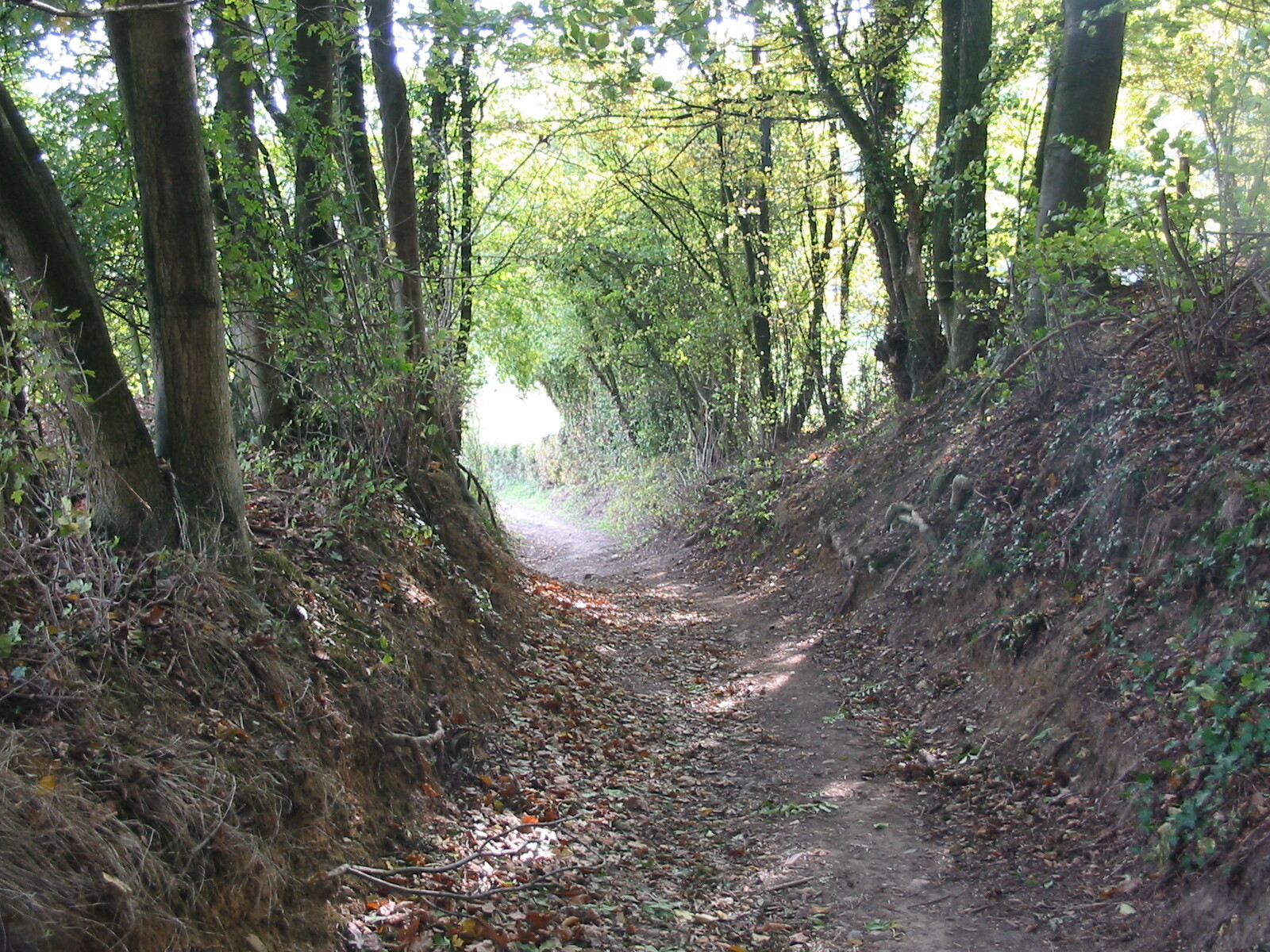 De weg naar ergens, of nergens