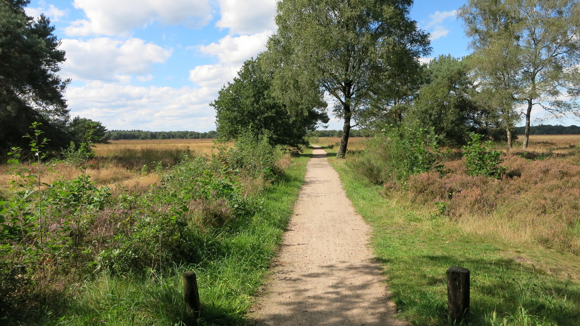 De weg naar de Kleine Kolonie