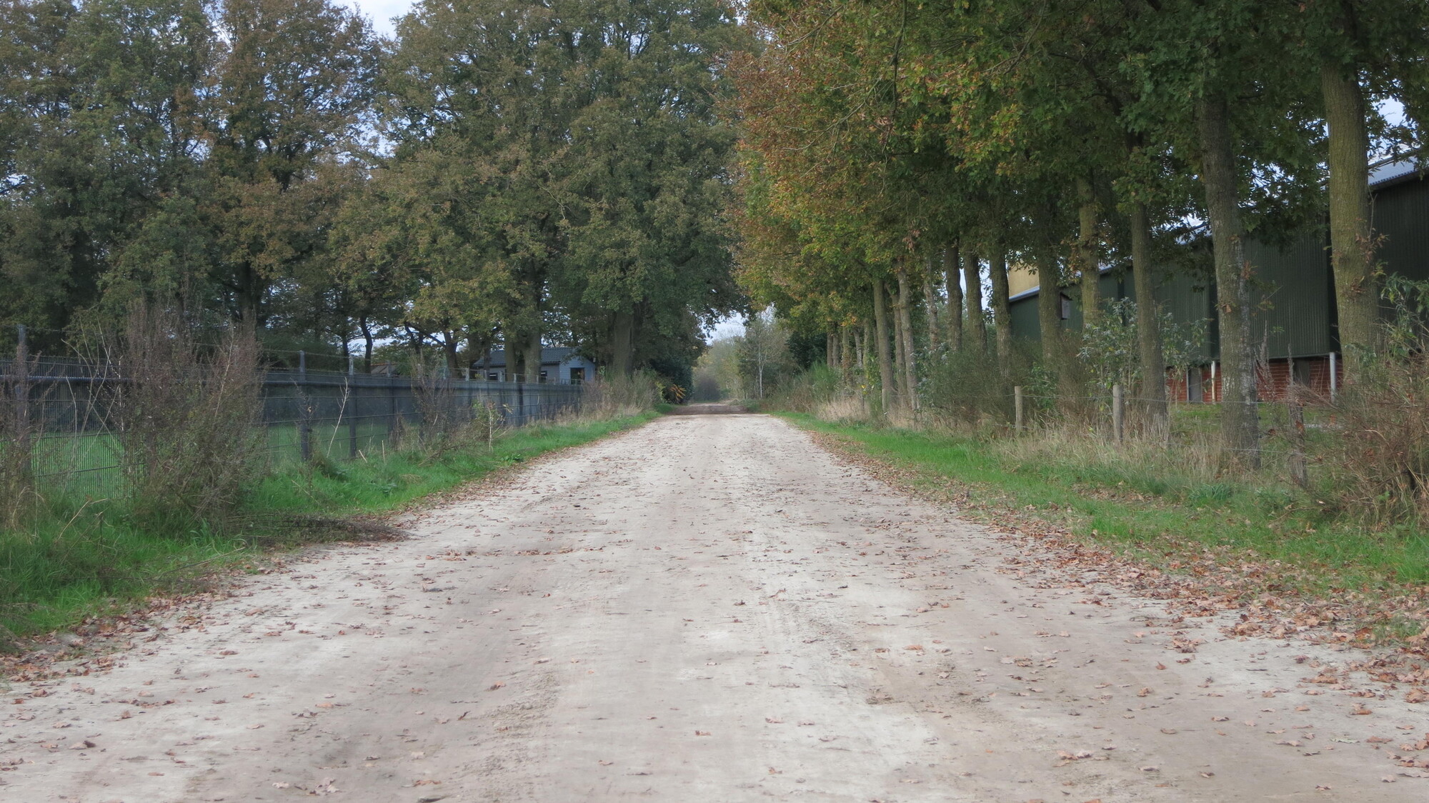 Vrije Geluiden: de weg naar Veenhuizerveld