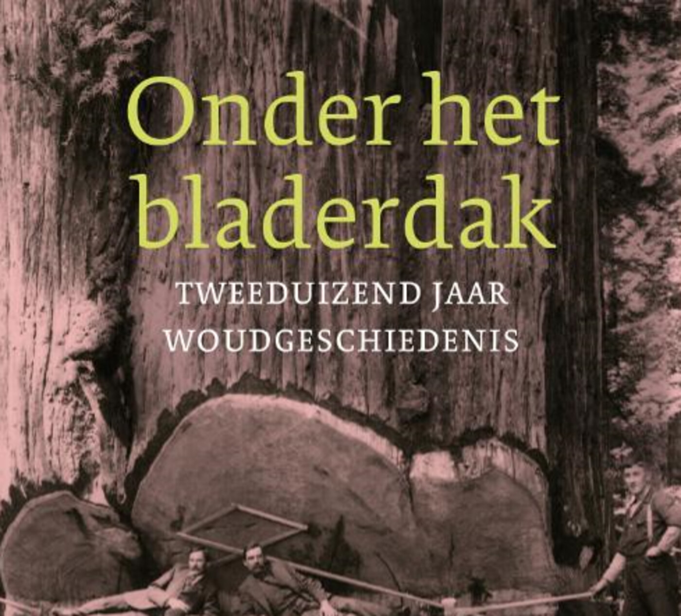 #1928 - De cultuurgeschiedenis van het woud - De cultuurgeschiedenis van het woud