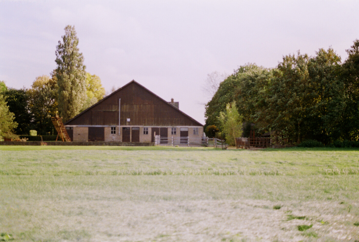 Woord - Achterland